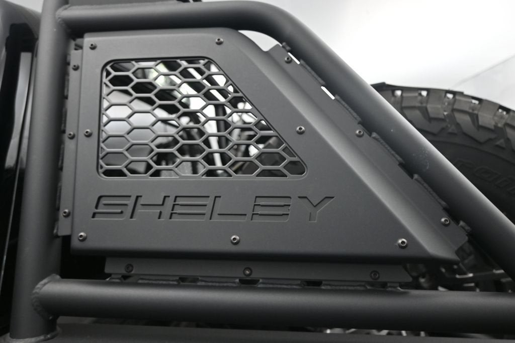 2025 Ford F-150 Raptor R