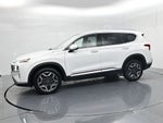 2023 Hyundai Santa Fe Hybrid SEL Premium