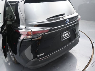 2024 Toyota Sienna XLE 8 Passenger