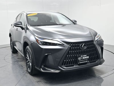 2022 Lexus NX 350 Premium
