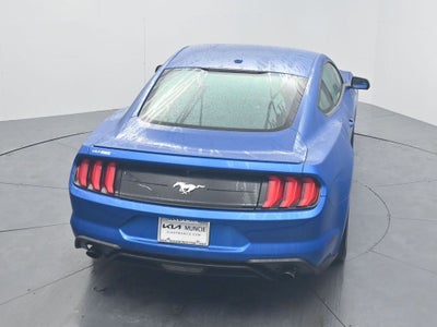 2019 Ford Mustang EcoBoost