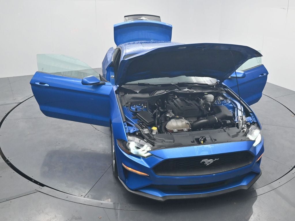 2019 Ford Mustang EcoBoost