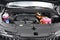 2026 Kia Carnival Hybrid LXS