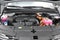 2027 Kia Carnival Hybrid SX Prestige