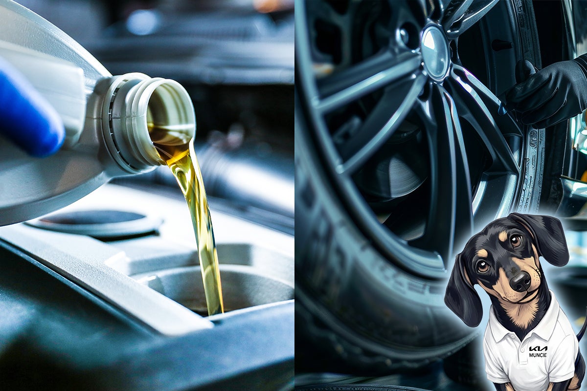 $69 Every Day Special